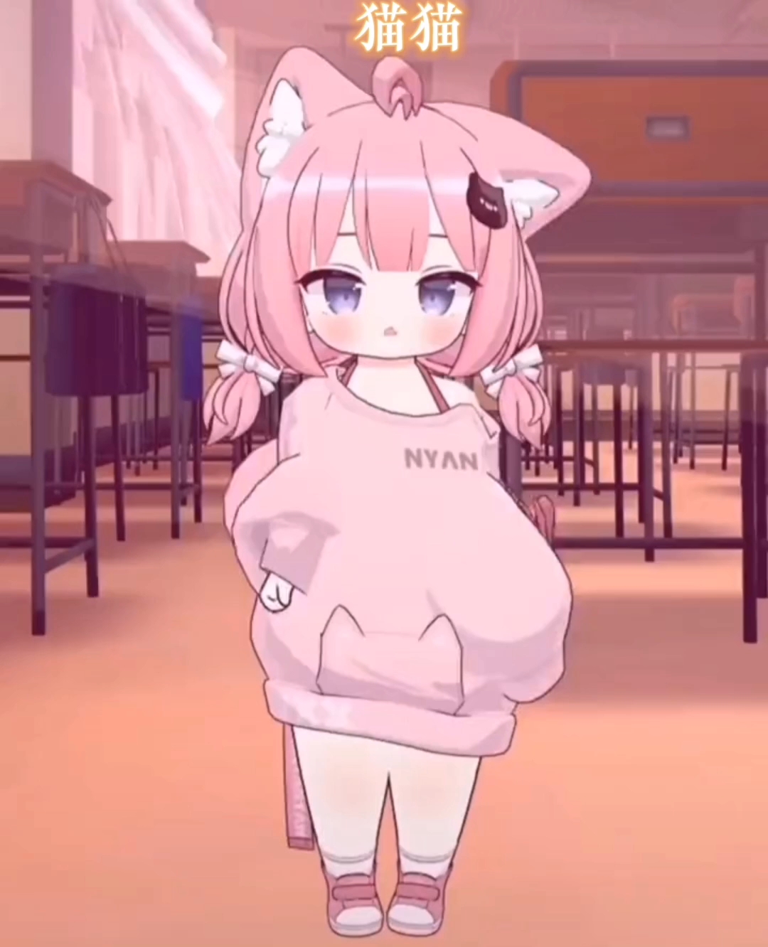 貓妹妹最新動態(tài)，萌態(tài)盡顯，溫暖你的心??