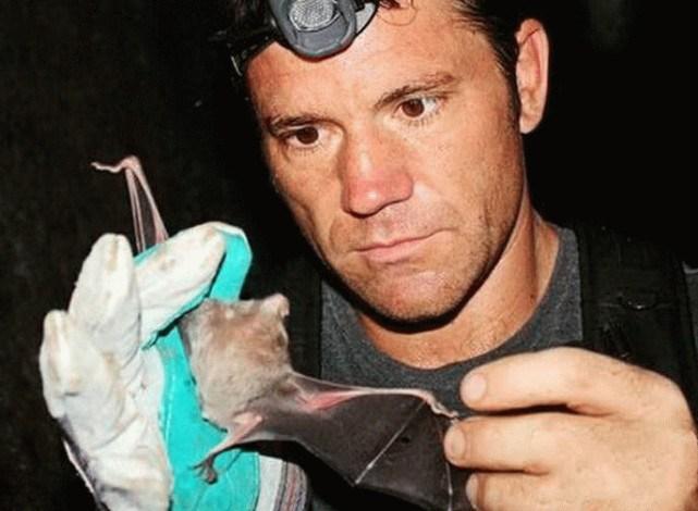 蝙蝠最新電影，自信與成長的翅膀，勵志翱翔天空之旅