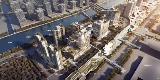 新中港最新動態(tài)，時代的新航標已啟航