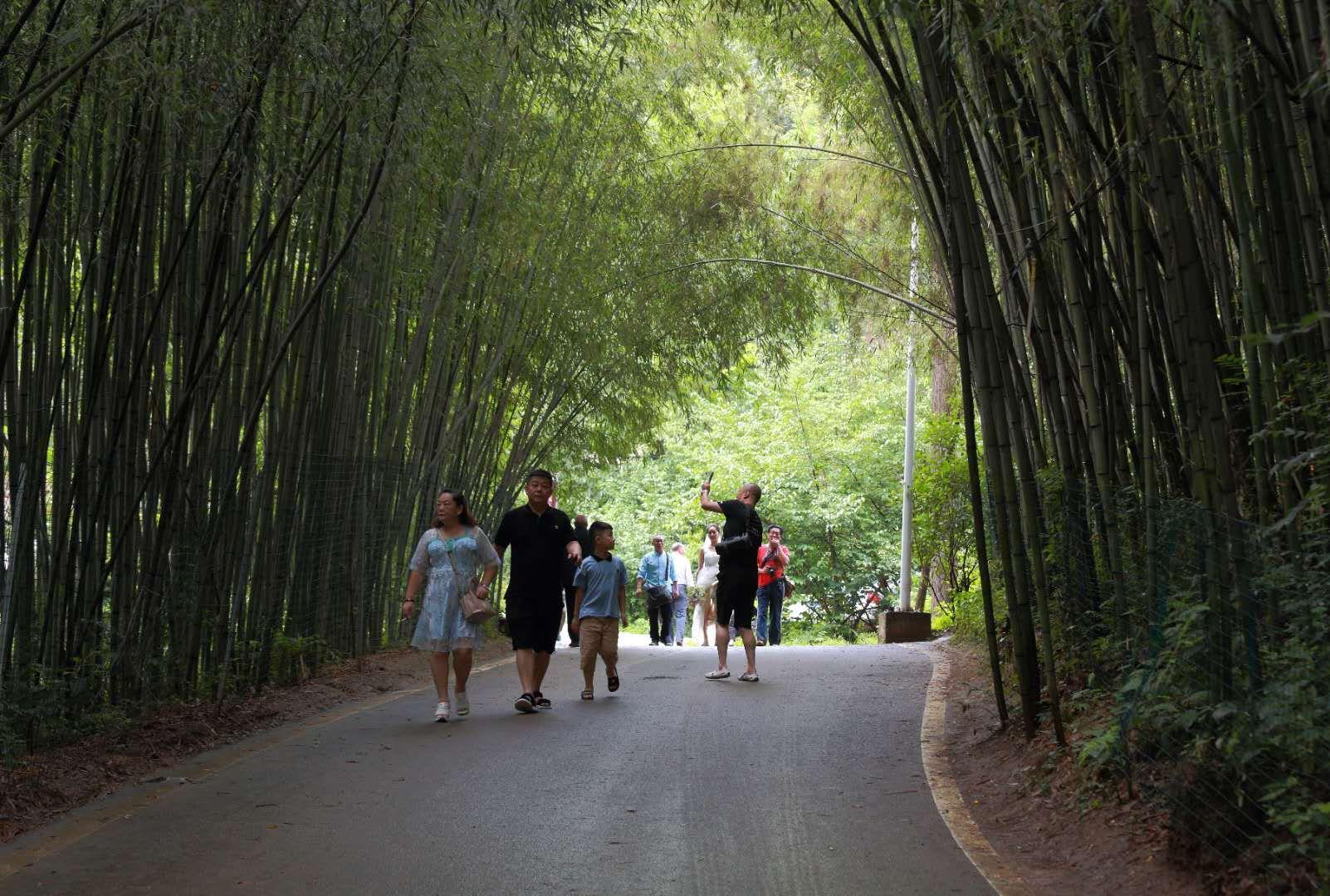 全家最新優(yōu)惠攻略，一步步教你享受最大優(yōu)惠折扣！