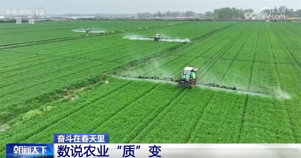 最新農(nóng)業(yè)農(nóng)村發(fā)展，播種希望，收獲自信與成就感