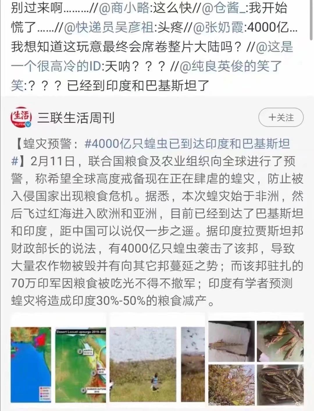 蝗蟲最新動態(tài)，防治與監(jiān)測的全面指南