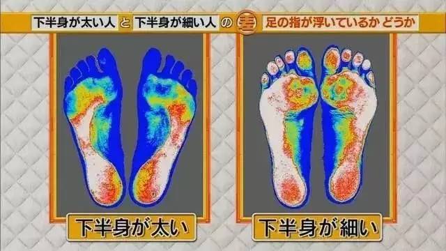 最新地趾論述，探索、爭議與觀點(diǎn)綜述