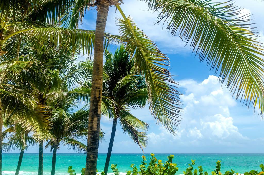 科技重塑旅行體驗(yàn)，最新付費(fèi)機(jī)場(chǎng)概覽