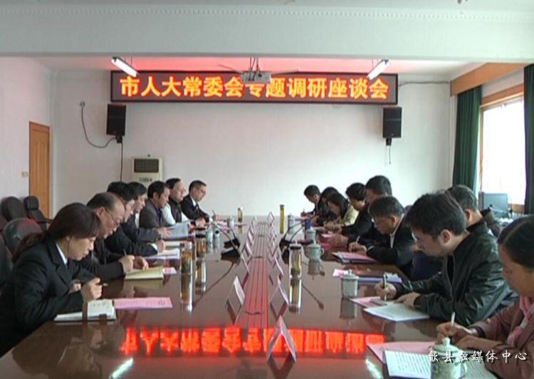 安徽歙縣最新動態(tài)，小巷深處的驚喜