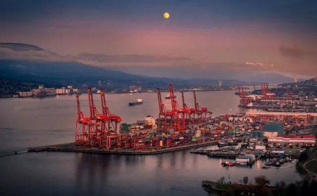 揭秘，53艘運煤船在華新動態(tài)與獨特煤香小店的故事