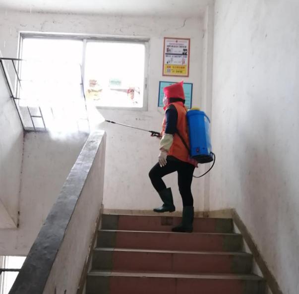 蓬江區(qū)最新高科技住宅，重塑未來(lái)生活體驗(yàn)的首選之地