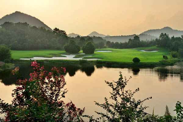 風(fēng)水最新動(dòng)態(tài)，日常小事中的風(fēng)水奧秘與溫馨解讀