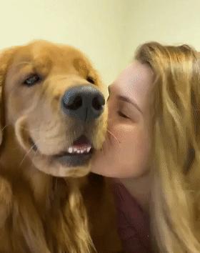 時(shí)代潮流還是陷阱？深度解讀最新趨勢(shì)背后的真相