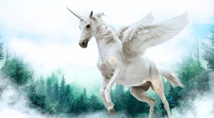 中國最新獨角獸，自信與成就感的源泉